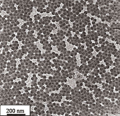 Tạo hạt nano polyme trong nhũ nano
